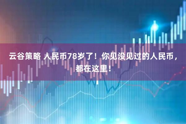 云谷策略 人民币78岁了！你见没见过的人民币，都在这里！
