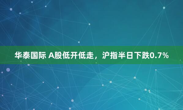 华泰国际 A股低开低走，沪指半日下跌0.7%