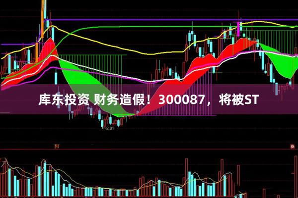 库东投资 财务造假!300087,将被ST